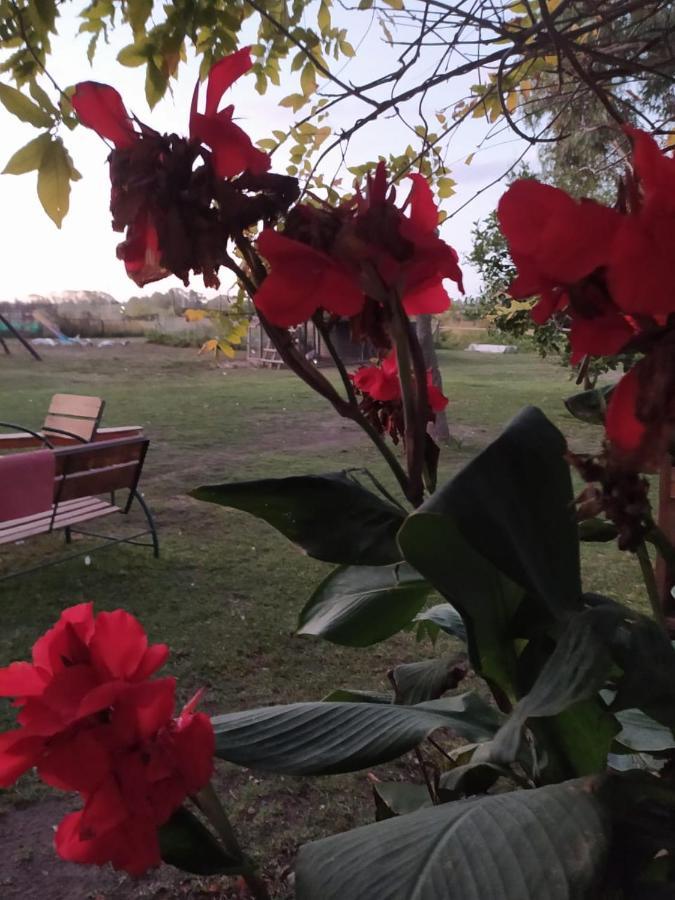 הוילה Belén de Escobar Finca La Pasionaria - Conectandonos מראה חיצוני תמונה